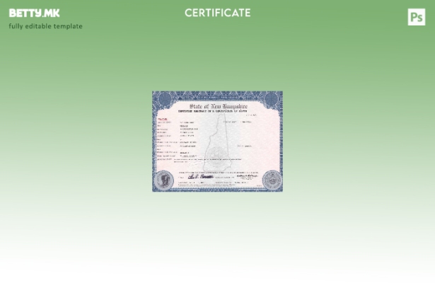 Модерен стил на САД Њу Хемпшир шаблон сертификат за раѓање